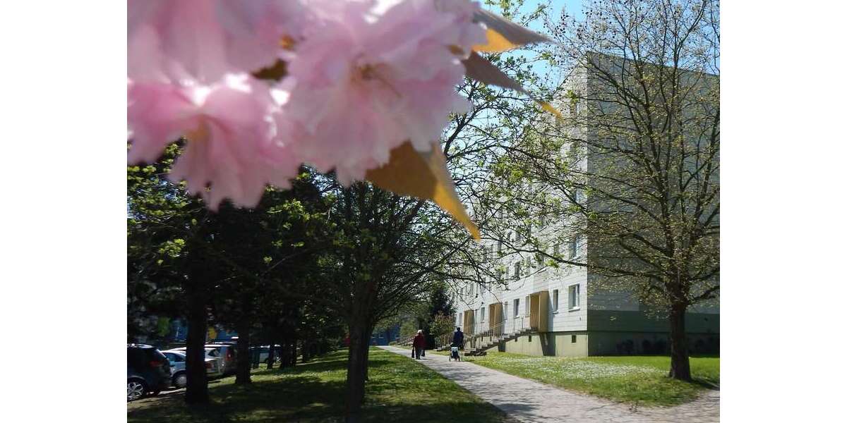 Etagenwohnung Schkeuditz Altscherbitz - 3 Zimmer, 60 m&sup2;, 540&euro; | Angebot:27072588
