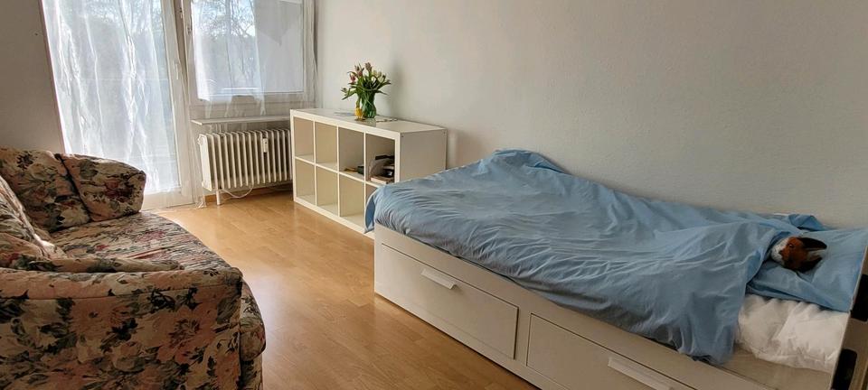 Etagenwohnung Freiburg im Breisgau Betzenhausen - 1 Zimmer, 20 m&sup2;, 750&euro; | Angebot:26356518