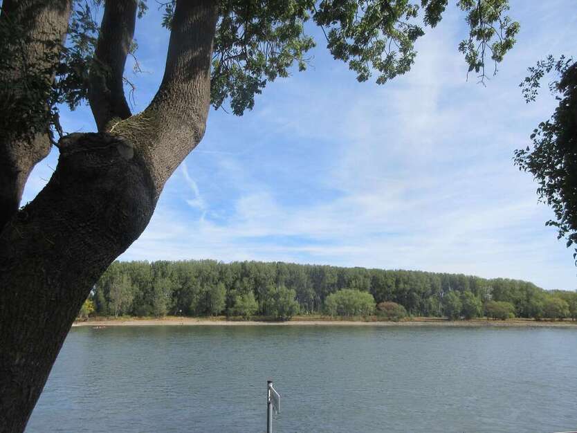 Wohnung zum Mieten in Bonn 690 € 60 m² 2.5 zimmer