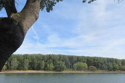 Wohnung zum Mieten in Bonn 690 € 60 m² 3 zimmer