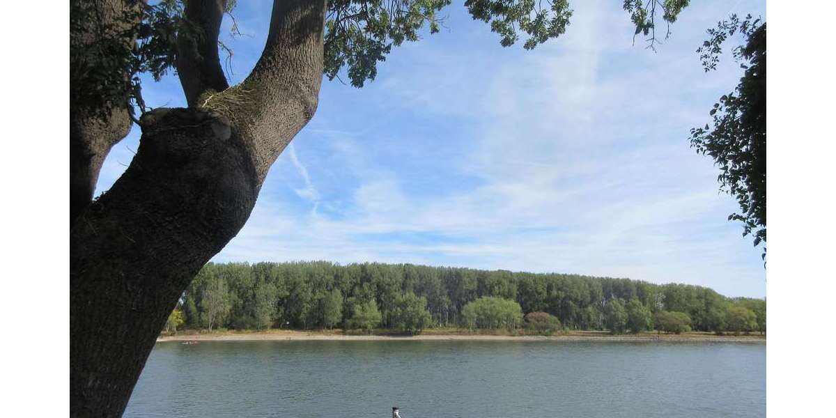 Wohnung zum Mieten in Bonn 690 € 60 m² 3 zimmer