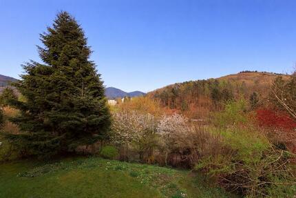 Wohnung Baden-Baden Baden - 3 Zimmer, 69 m&sup2;, 980&euro; | Angebot:26044414