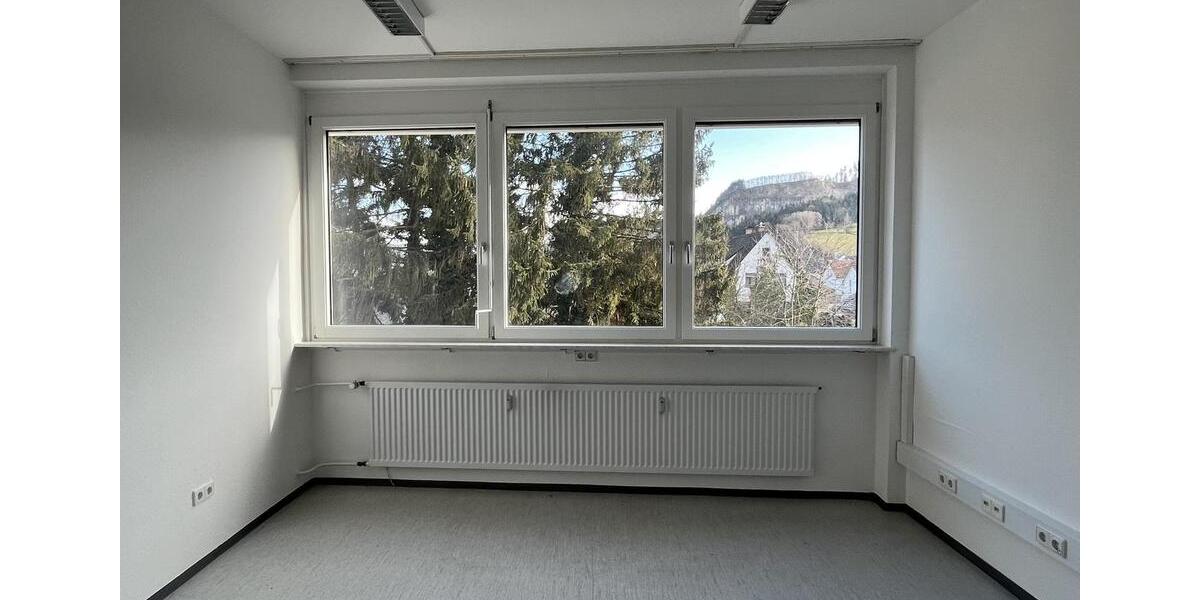 Gewerbeobjekt Steinach - 890&euro; | Angebot:12437942