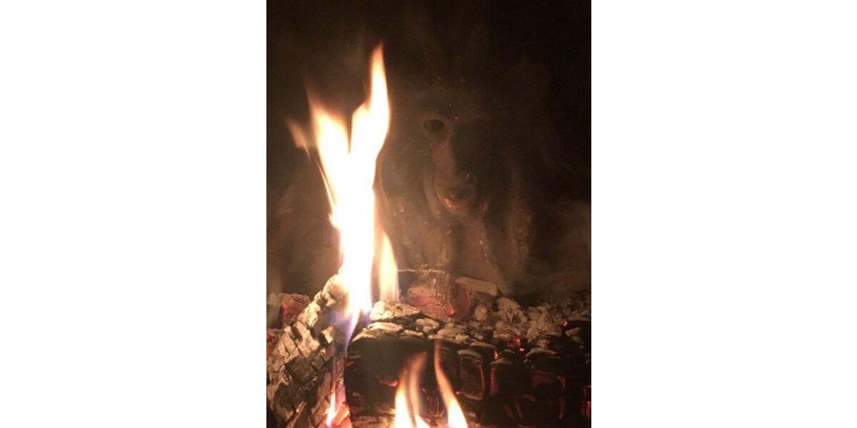 Wohnen auf Zeit Braunschweig Wabe-Schunter-Beberbach - 1 Zimmer, 33 m&sup2;, 541&euro; | Angebot:25523838