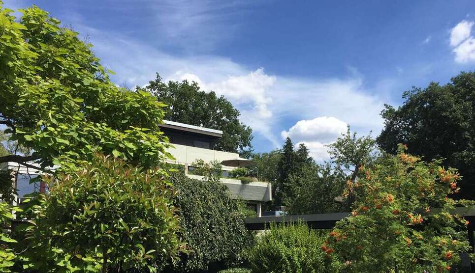 Wohnung zum Mieten in Dreieich 1.200 € 97 m² 3 zimmer