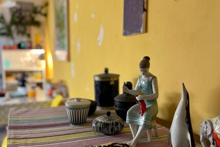 2-Zi Whg in Sülz, auf Zeit: 17.03-31.05.2026 2 zimmer