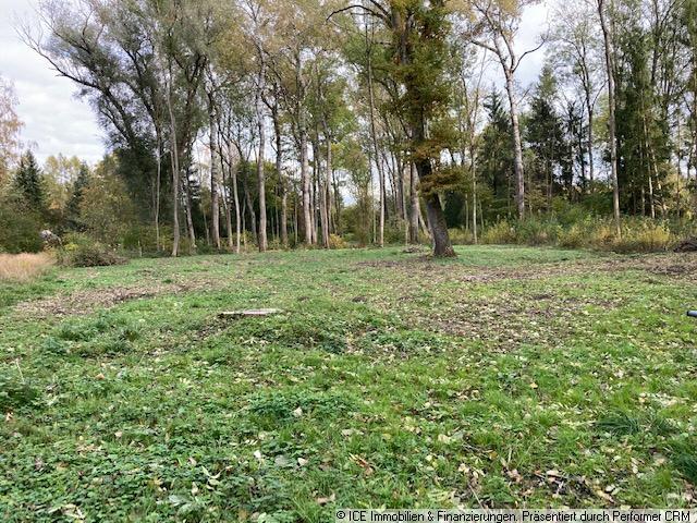 Ideales Grundstück für eine Mikro Farm zimmer