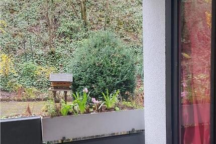 Wohnen auf Zeit Saarbrücken Malstatt - 1 Zimmer, 19 m&sup2;, 440&euro; | Angebot:26310027