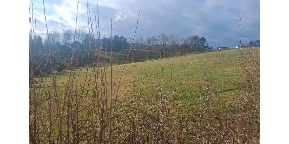 Erdgeschoßwohnung Cham - 2 Zimmer, 100 m&sup2;, 720&euro; | Angebot:25929833