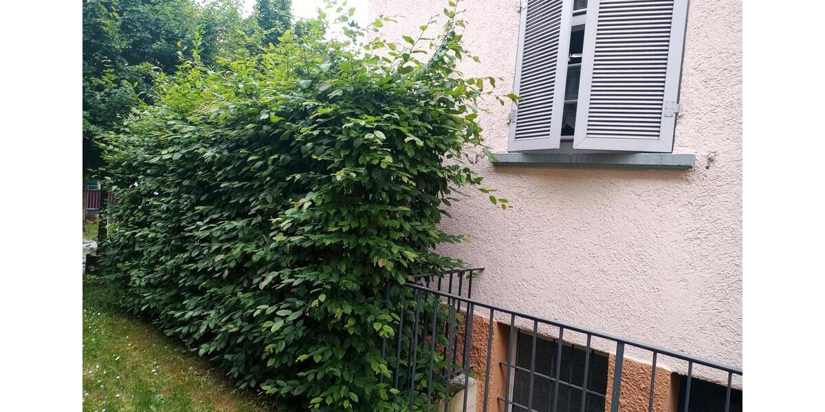 Wohnen auf Zeit Stuttgart Stuttgart-Süd - 2 Zimmer, 52 m&sup2;, 300&euro; | Angebot:26691466
