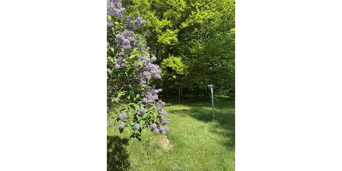 Etagenwohnung Güstrow - 3 Zimmer, 107 m&sup2;, 990&euro; | Angebot:26636288