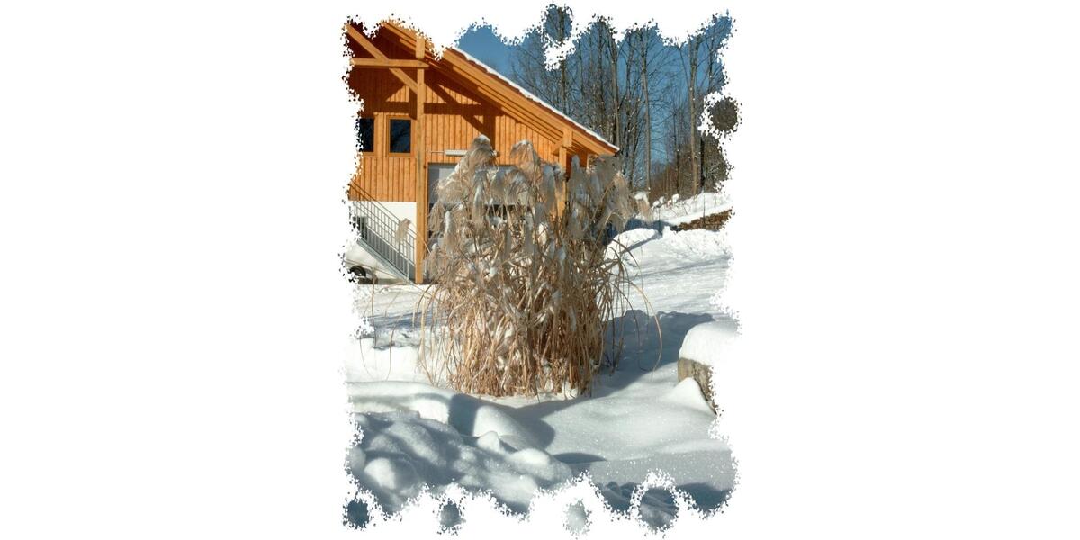 Wohnen auf Zeit Sankt Englmar - 1 Zimmer, 750&euro; | Angebot:22966220