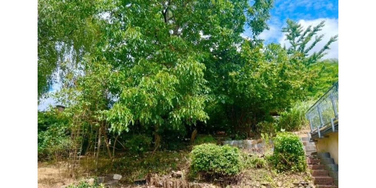 Dachgeschoßwohnung Neustadt bei Coburg - 4.5 Zimmer, 87 m&sup2;, 750&euro; | Angebot:24964782