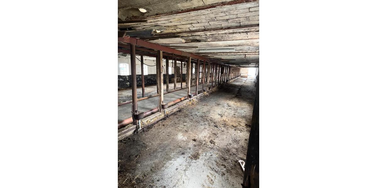 Gewerbeobjekt Flensburg Altstadt - 750&euro; | Angebot:25980668