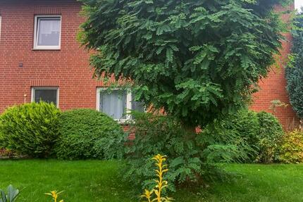 Schöne 104 qm EG Wohnung in Bassum zimmer