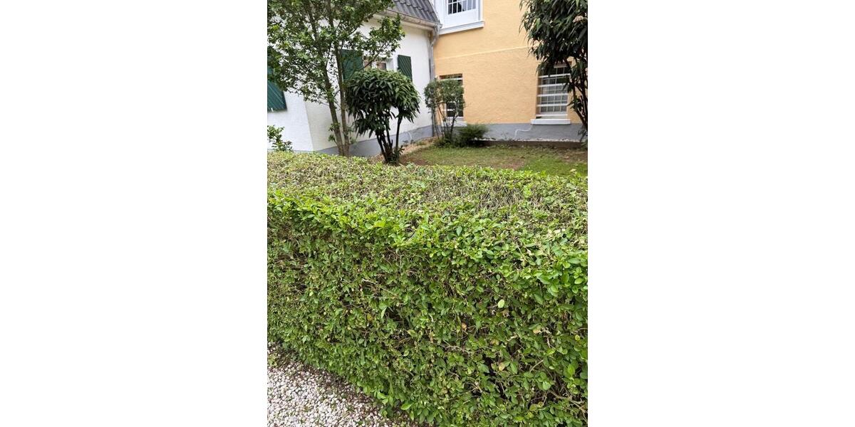 Einfamilienhaus Euskirchen - 3 Zimmer, 87 m&sup2;, 1.225&euro; | Angebot:26623944