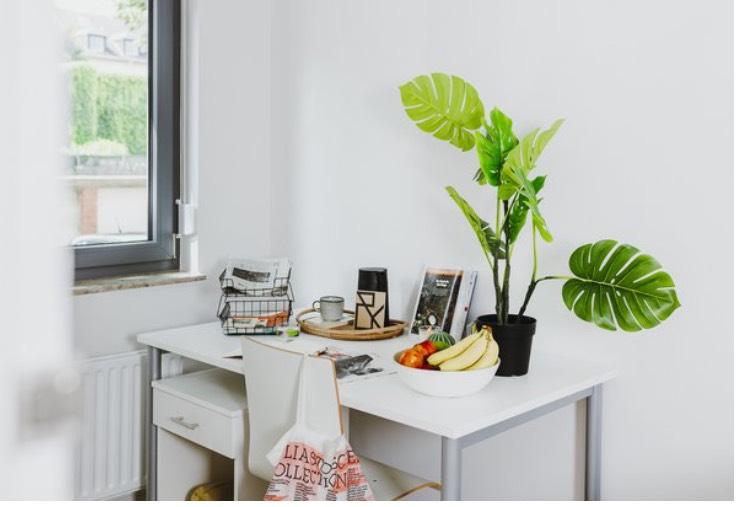 Wohnen auf Zeit Duisburg Duisburg-Mitte - 1 Zimmer, 15 m&sup2;, 380&euro; | Angebot:26512119