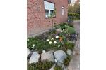 Doppelhaushälfte Nienburg (Weser) - 4 Zimmer, 100 m&sup2;, 950&euro; | Angebot:26358991