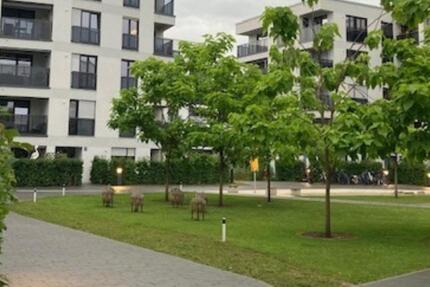 Moderne, helle und Verkehrsgünstige 4-Zimmer-Wohnung mit Balkon