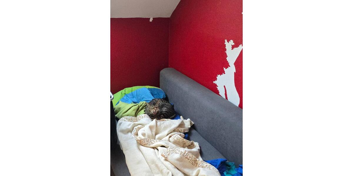 Dachgeschoßwohnung Gießen - 1 Zimmer, 13 m&sup2;, 280&euro; | Angebot:25101919