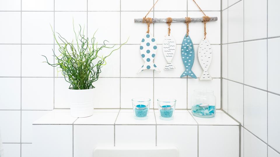 Wohnen auf Zeit Aachen Aachen-Mitte - 2 Zimmer, 40 m&sup2;, 1.000&euro; | Angebot:13964567