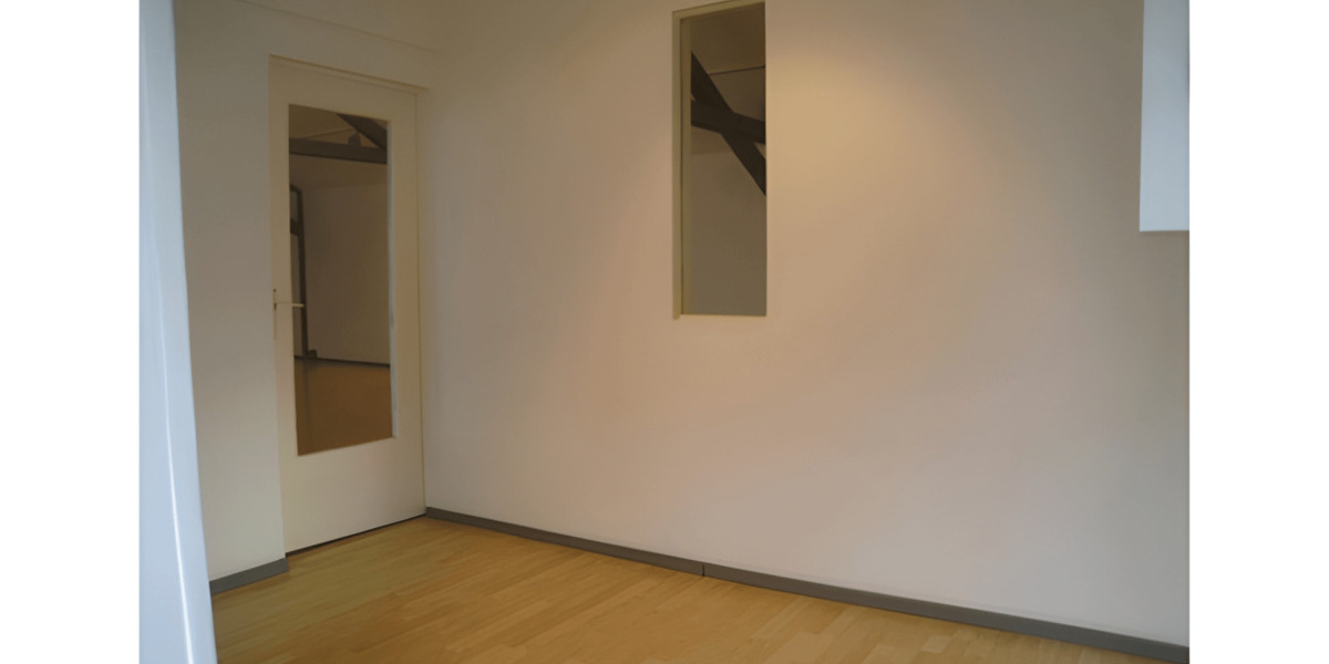 Ehrlicher & Aufrichtiger Loft-Mitbewohner in Lahr gesucht - Gewerbeobjekt Lahr Dinglingen | Angebot:26254734