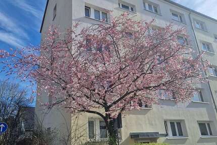Wohnung Glauchau - 2 Zimmer, 46 m&sup2;, 289&euro; | Angebot:26994551