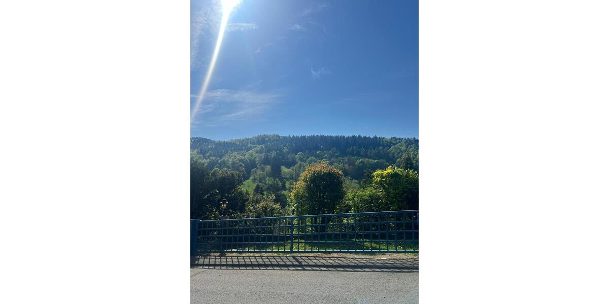 Wohnen auf Zeit Walkenried - 4 Zimmer, 85 m&sup2;, 95&euro; | Angebot:25973594