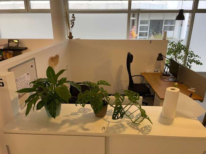 Büro in Freilassing 319 € 8 m²