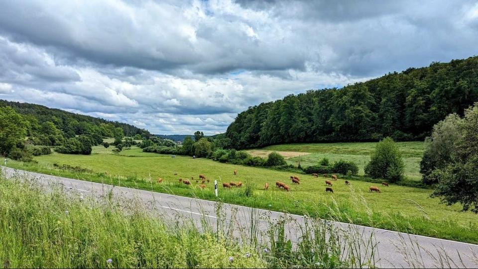 Wohnen auf Zeit Calw - 2.5 Zimmer, 64 m&sup2;, 85&euro; | Angebot:24643758