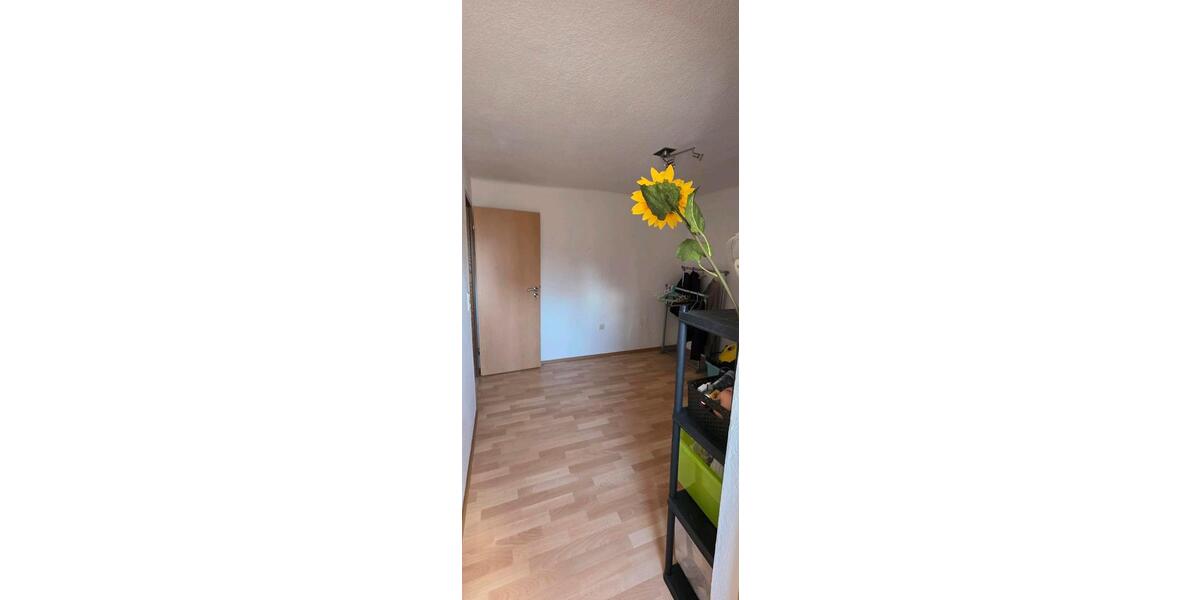Etagenwohnung Wildflecken - 1 Zimmer, 140 m&sup2;, 600&euro; | Angebot:26019900