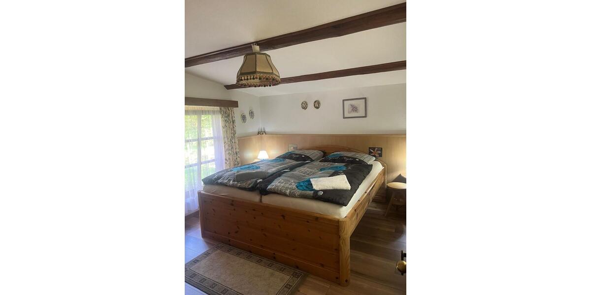 Harz Ferienhaus Blockhaus 6 Pers +Hund 2 Kamine gr Grundst. süd H 4 zimmer