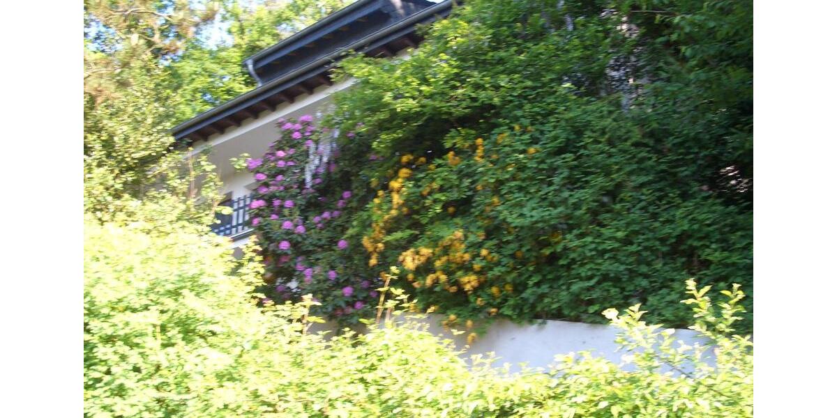 Dachgeschoßwohnung Lohmar - 2 Zimmer, 69 m&sup2;, 600&euro; | Angebot:24868554