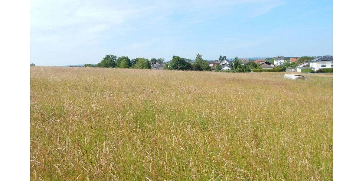 Einfamilienhaus Losheim am See Niederlosheim - 7 Zimmer, 307 m&sup2;, 1.400&euro; | Angebot:26658391