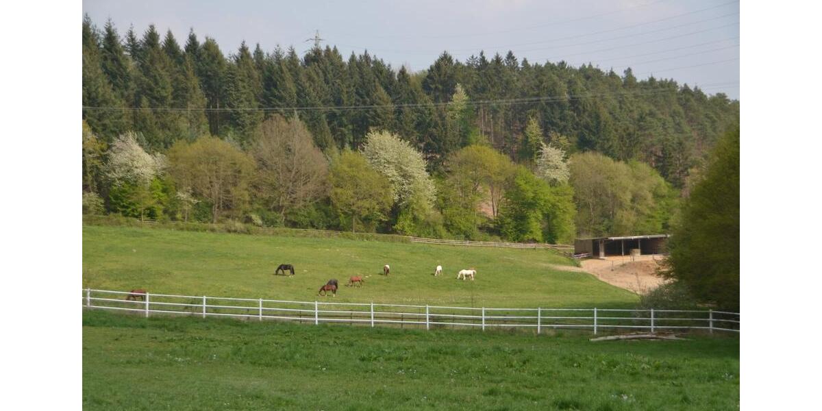 Etagenwohnung Boppard - 3 Zimmer, 90 m&sup2;, 750&euro; | Angebot:25634400