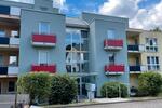 Etagenwohnung Siegen Weidenau - 1 Zimmer, 21 m&sup2;, 275&euro; | Angebot:26615586