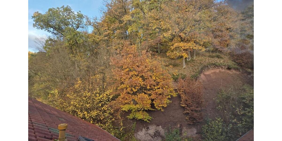 Etagenwohnung Gerstungen - 1 Zimmer, 30 m&sup2;, 200&euro; | Angebot:24526295