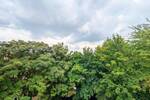 ++ wunderschöne, frisch sanierte 4-Raum Wohnung mit Balkon - ab sofort verfügbar - zentrumsnähe ++