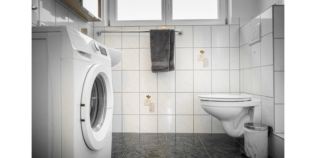 Wohnen auf Zeit Uhldingen-Mühlhofen Mühlhofen - 1 Zimmer, 25 m&sup2;, 520&euro; | Angebot:26295163