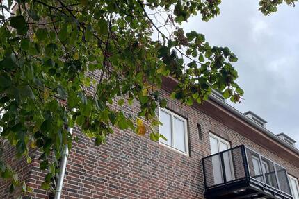 3-Zimmer-Wohnung im Obergeschoss I Erstbezug I Posthof Gransee® 1.07 3 zimmer