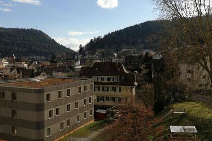 Wohnung Bad Liebenzell - 1 Zimmer, 41 m&sup2;, 520&euro; | Angebot:25142436