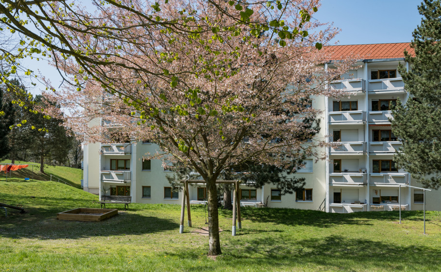 Etagenwohnung Eisenach Fischbach - 3 Zimmer, 60 m&sup2;, 439&euro; | Angebot:25280103