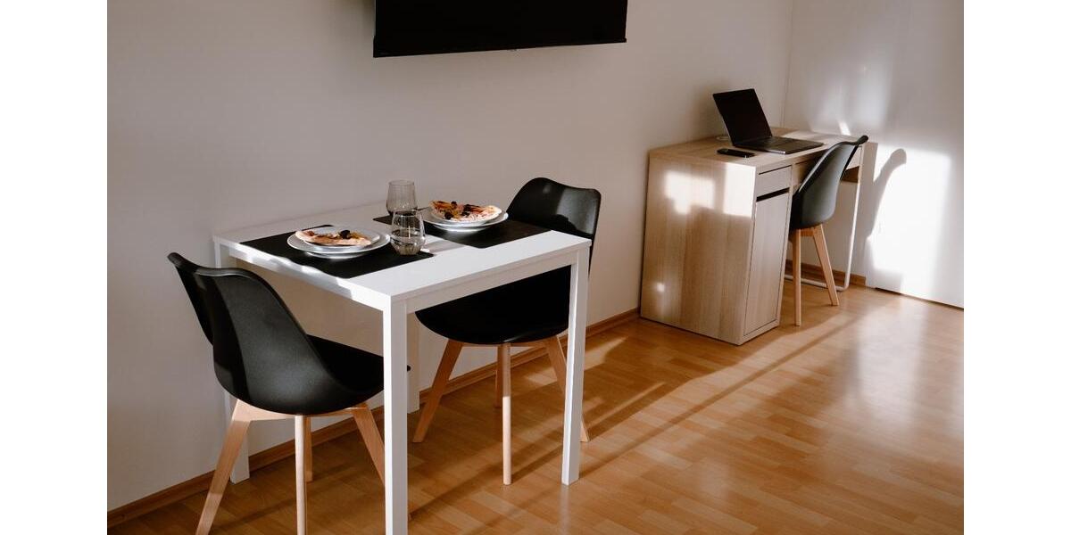 Helle möblierte Einzimmerwohnung (Perfekt für Pendler) 1 zimmer