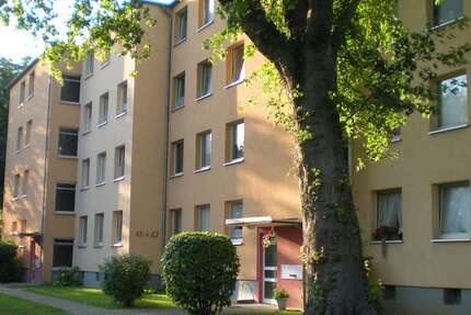 Wohnung zum Mieten in Wolfenbüttel 483 € 69 m² 3 zimmer