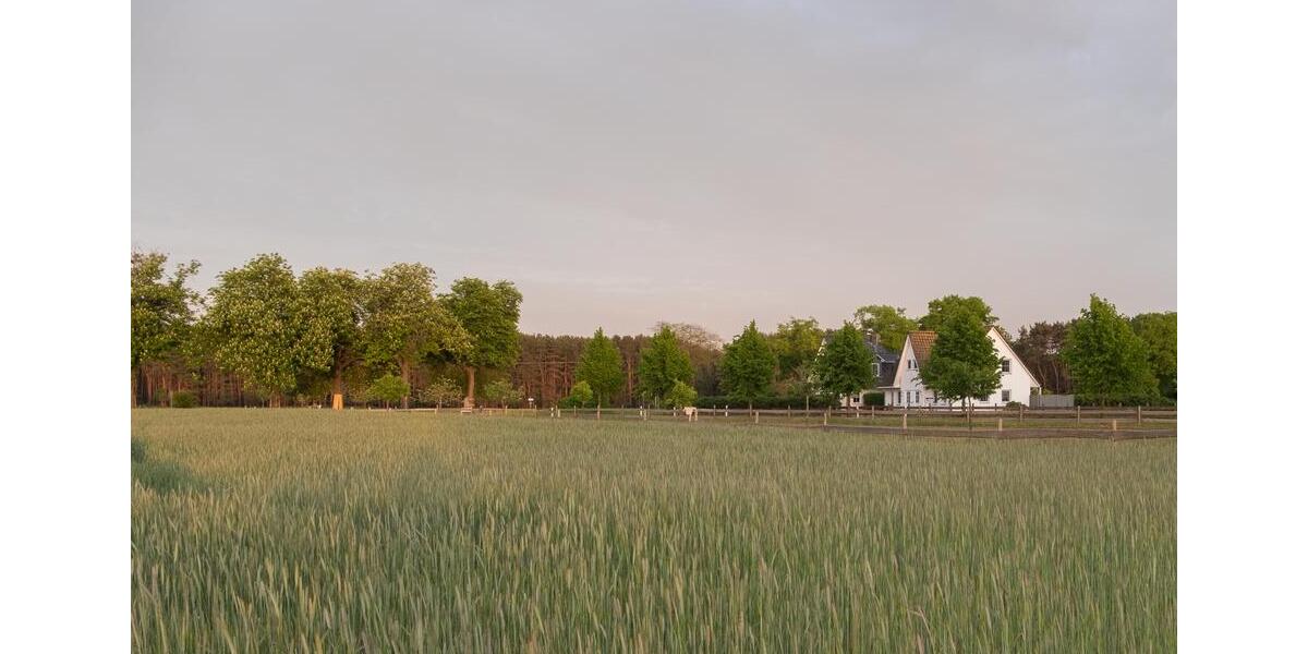 Maisonettenwohnung Usedom - 3 Zimmer, 86 m&sup2;, 1.050&euro; | Angebot:26151344