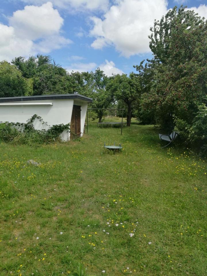 3-Raum-Wohnung in ruhiger Lage mit Gartennutzung und -pflege
