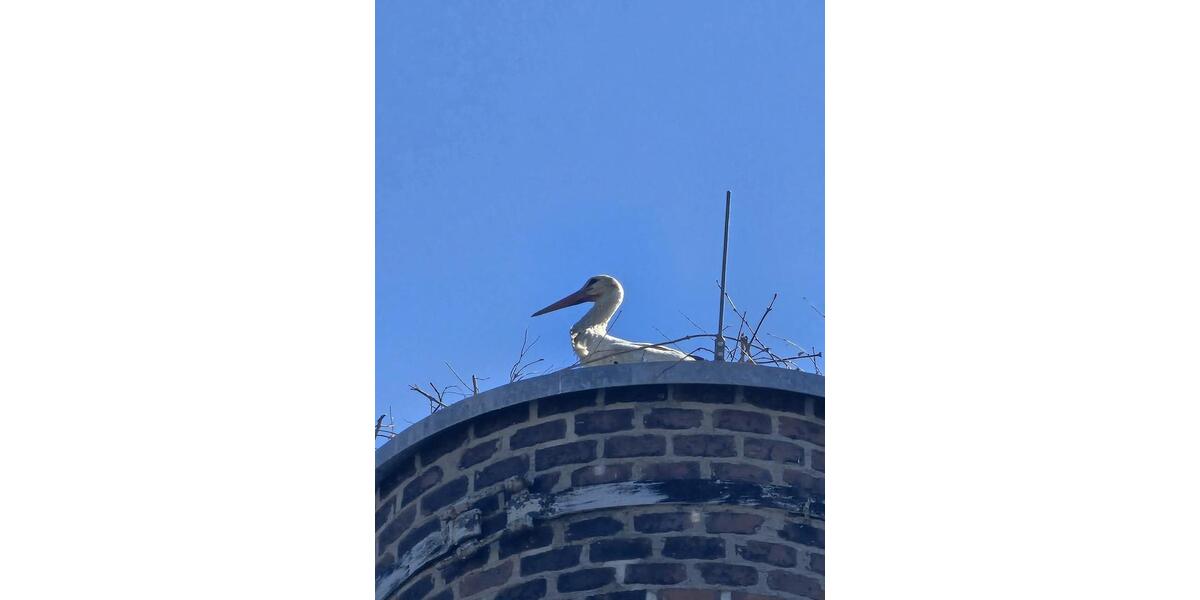 Erdgeschoßwohnung Crimmitschau - 4 Zimmer, 135 m&sup2;, 919&euro; | Angebot:24426878