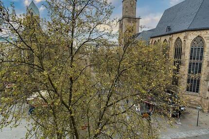 Wohnen direkt neben dem Europa Brunnen und der ST. Marienkirche 2 zimmer