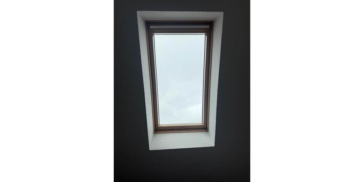 Wohnen auf Zeit Kölln-Reisiek Reisiek - 3 Zimmer, 25 m&sup2;, 40&euro; | Angebot:26383704