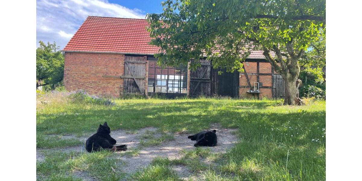 Wohnen auf Zeit Rheinsberg - 1 Zimmer, 20 m&sup2;, 600&euro; | Angebot:22860765